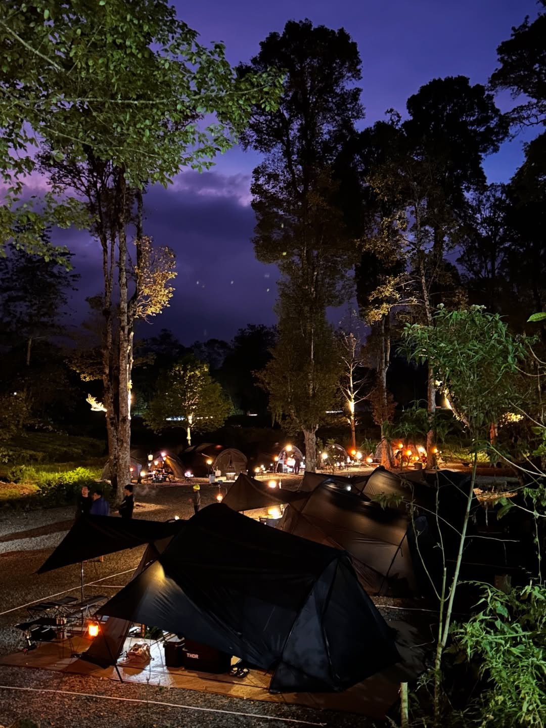 Mengenal Rengganis Campsite: Pelarian Sempurna di Jantung Ciwidey